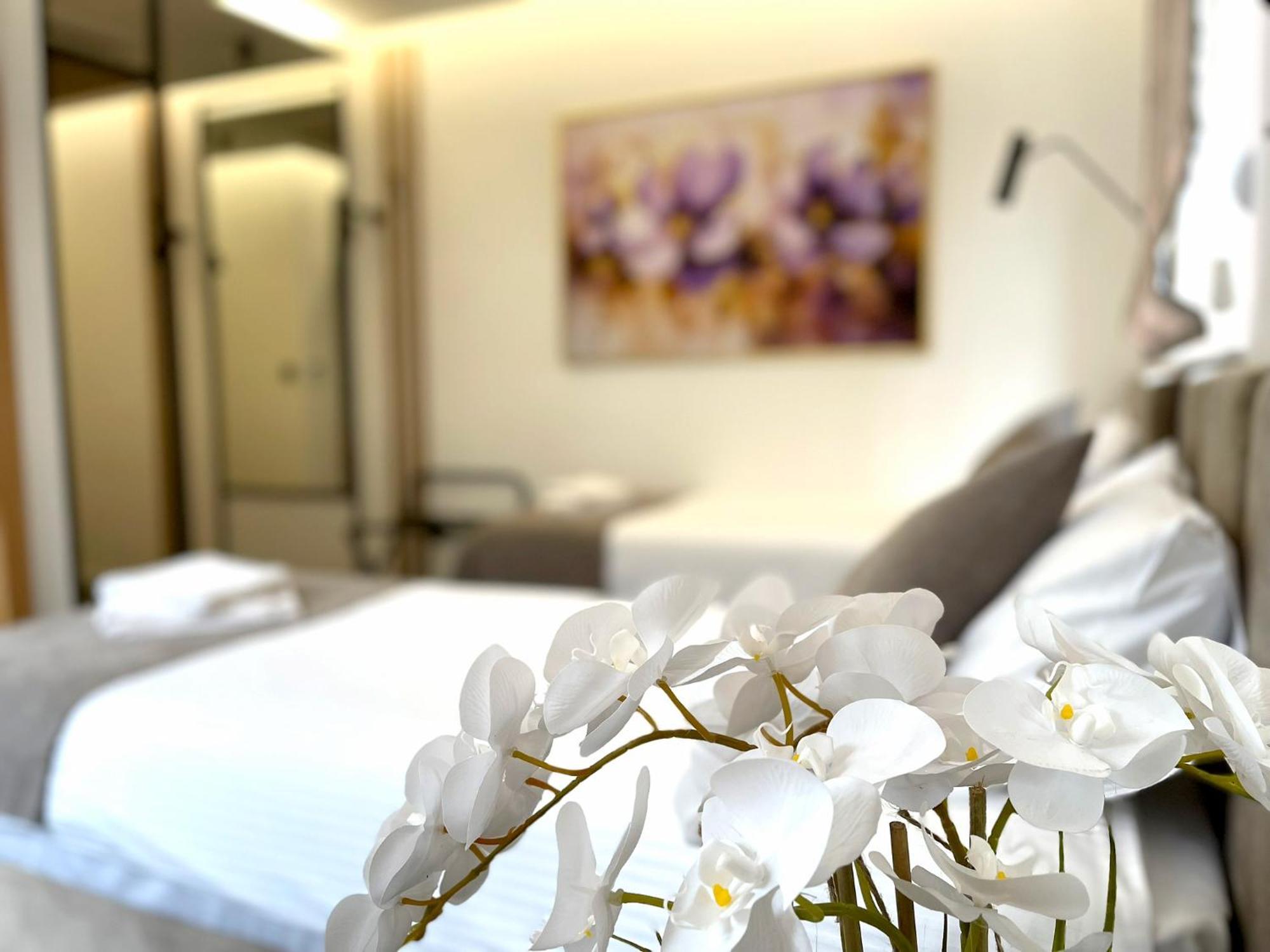 Hotel Npl Code Naselje Starosjedilaca 외부 사진
