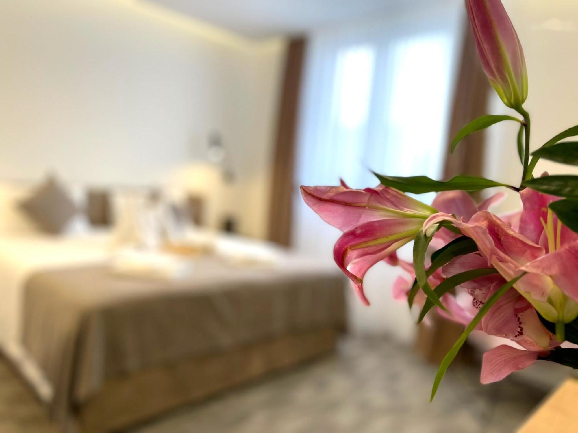 Hotel Npl Code Naselje Starosjedilaca 외부 사진
