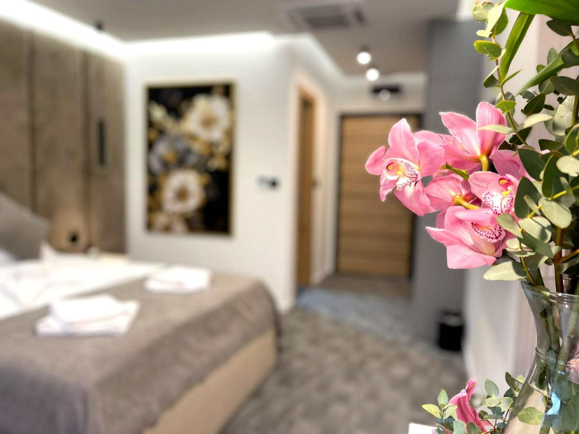 Hotel Npl Code Naselje Starosjedilaca 외부 사진